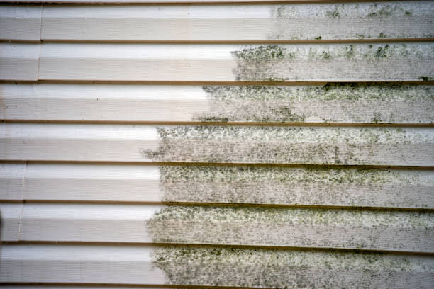 Best Foreclosure Cleanout  in Mccordsville, IN